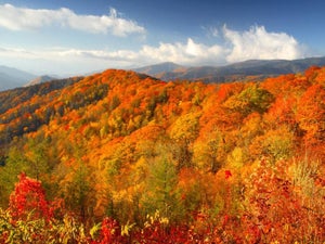 2022 Smoky Mountains Fall Foliage: Tips and Guide for the Best Fall Colors Experience