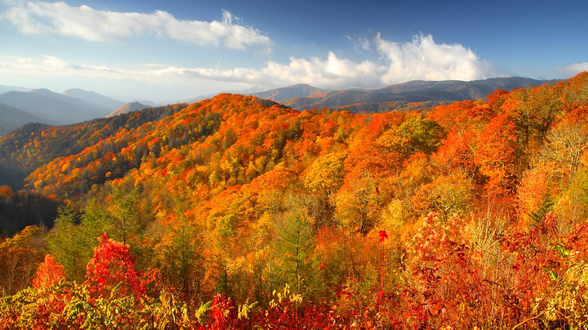 fall foliage view of the smoky mountains