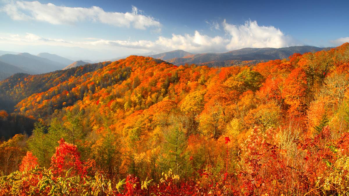 Great Smoky Mountains Fall Foliage 2025 Hikes Views Drives Great Smoky Mountains Fall Foliage 2025 Hikes Views Drives