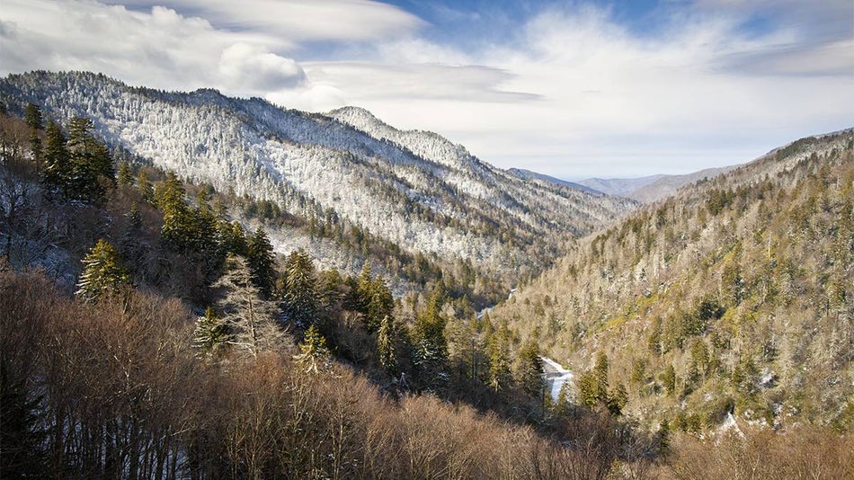 Snowy scenic overlook of the Great Smoky Mountains National Park