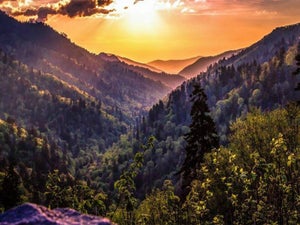 Things to Do in the Smoky Mountains: 10 Unique Ideas for An Amazing Vacation