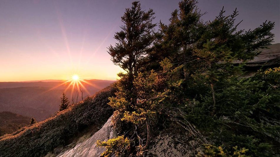 View of a purple and orange sunset from Myrtle Point on Mount Le Conte in the Smoky Mountains in Gatlinburg, Tennessee, USA