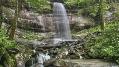 Rainbow Falls surrounded by forest in the Smoky Mountains - Pigeon Forge, Tennessee, USA