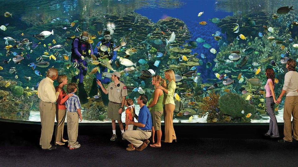 Family standing in front of coral reef at Ripley's Aquarium of the Smokies in Gatlinburg, Tennessee, USA