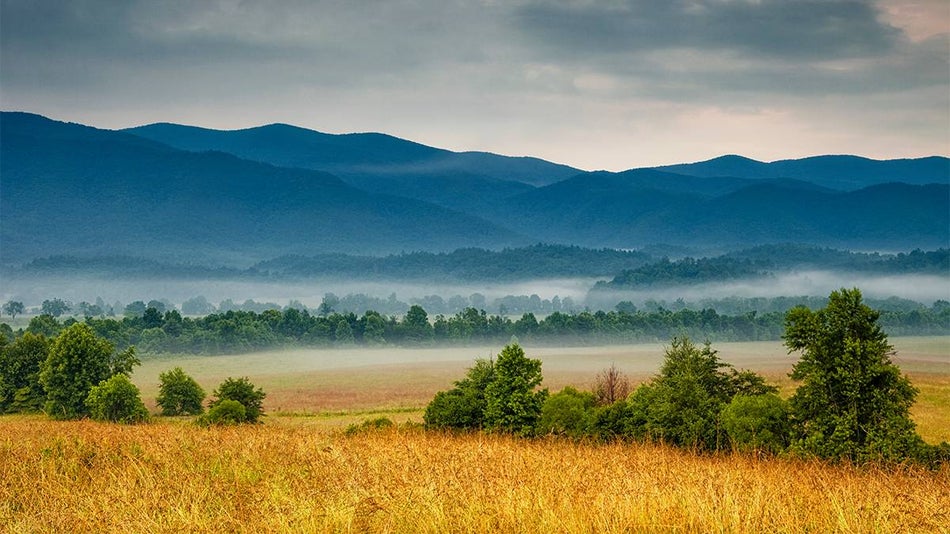 ground view of field with fog and mist in valley with The Great Smoky Mountains in the background in Gatlinburg, Tennessee, USA
