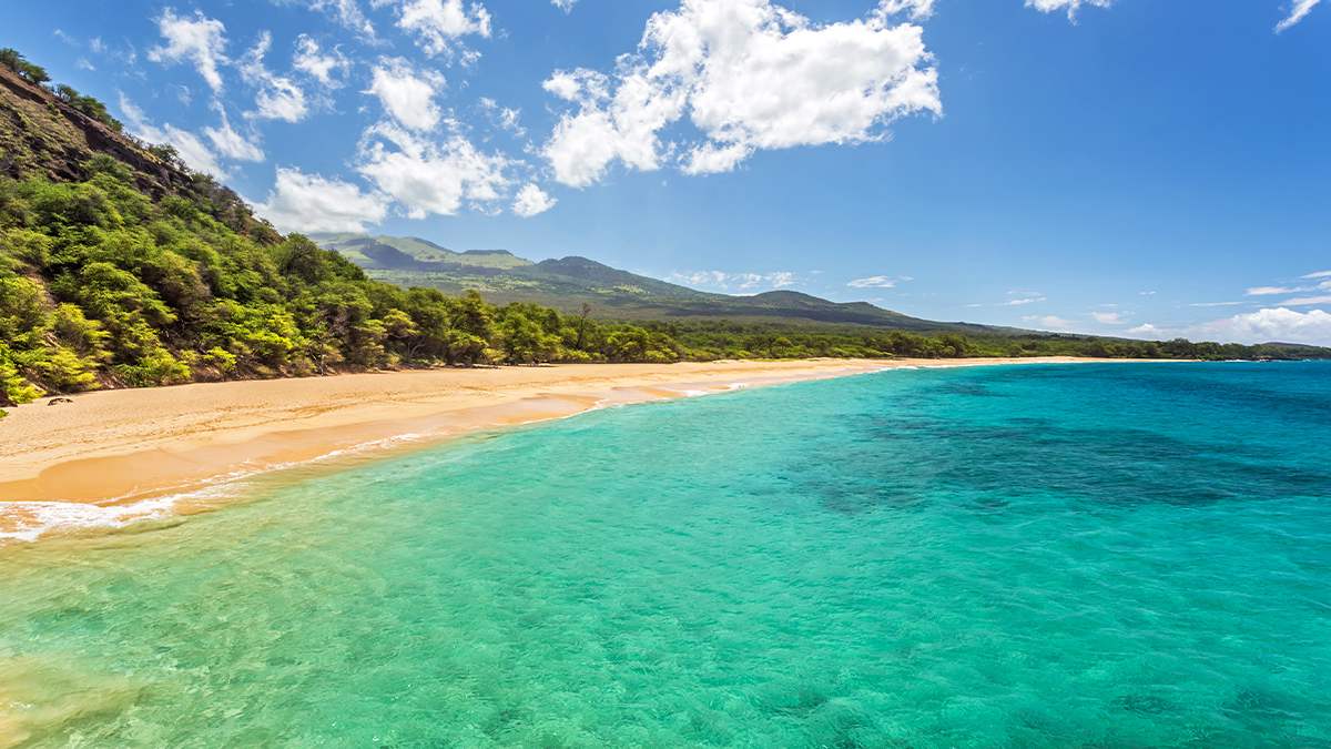 Wide shot of a beautiful beach on a sunny day with trees in the background on Maui, Hawaii, USA