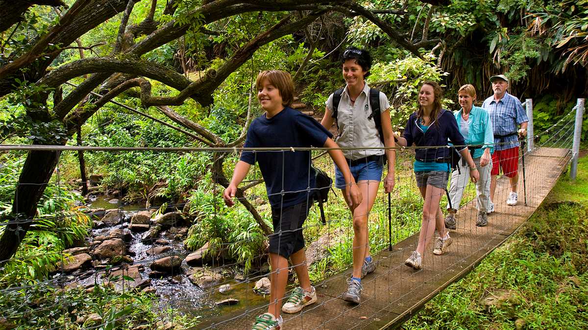 Family Hiking Over Bridge at Kohala waterfalls in Hawaii