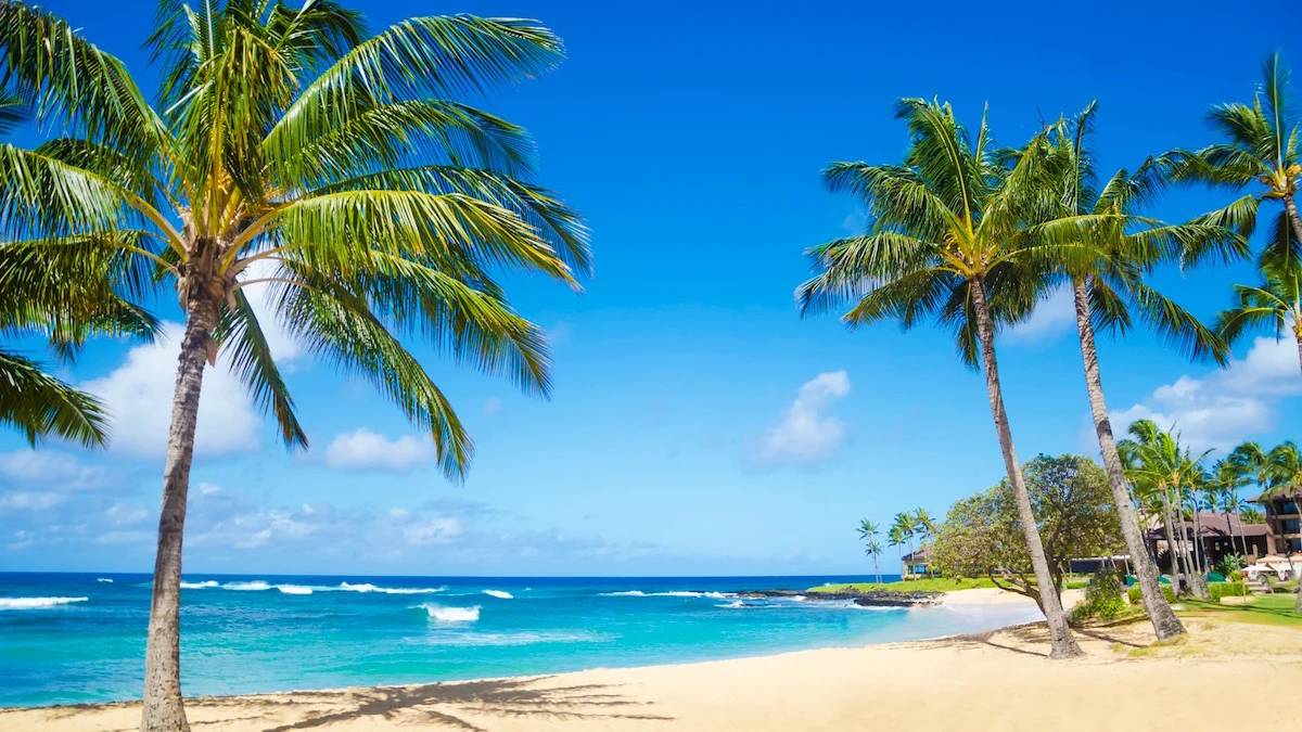 View of coastline and palm trees in sandy beaches at Poipu Beach in Kauai, Hawaii, USA