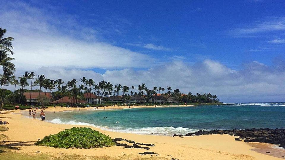 Best Beaches in Kauai 🌺 10 to Add to Your Bucket List