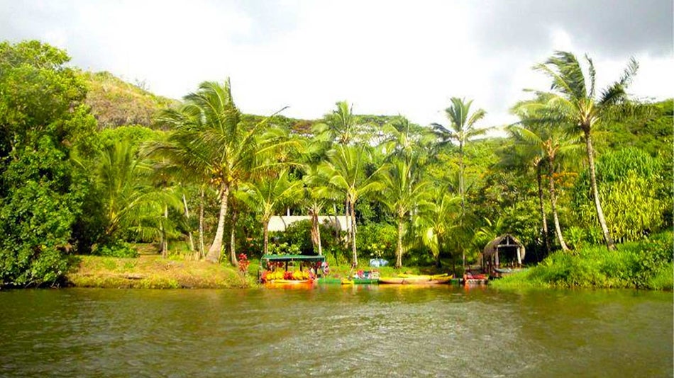water view of kayaks lined along river on a Wailua River Kayak Tour in Kauaʻi, Hawaii, USA