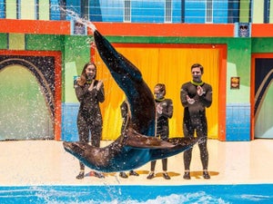 Discovery Cove Discount Tickets - 2023 Ultimate Guide