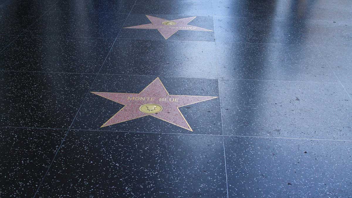 Close up of stars on Hollywood Walk of Fame in Los Angeles, California, USA