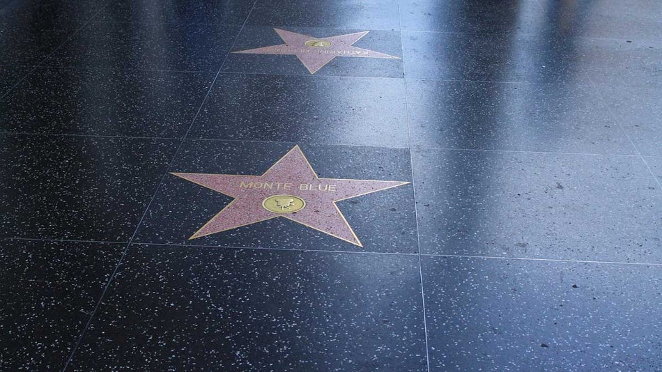 Close up of stars on Hollywood Walk of Fame in Los Angeles, California, USA