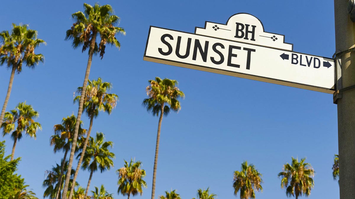View of Sunset Boulevard street sign with palm trees in the background in Los Angeles, California, USA