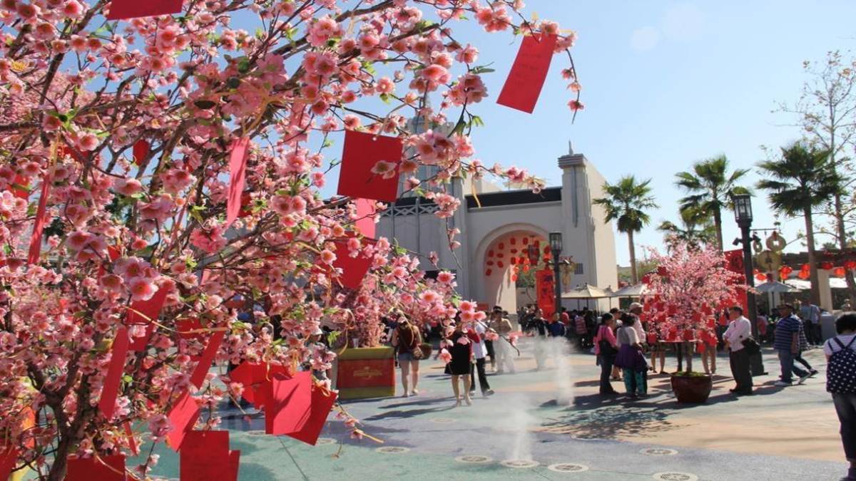 pink cherry blossom trees with red cloth draped on them and the entrance to universal studios Hollywood in the background