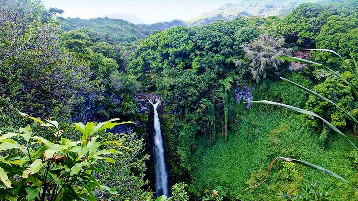 puohokamoa falls in hawaii