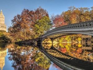 Things to Do in Central Park: The Complete Visitor's Guide