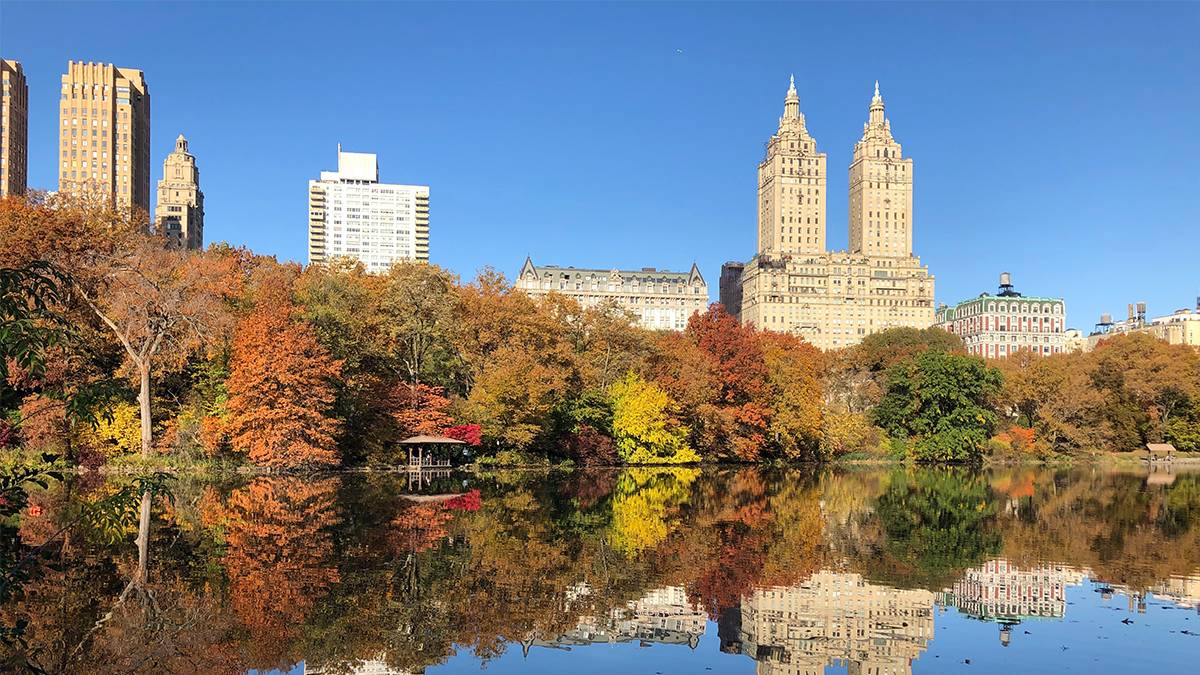 Lake surrounded by forest in Central Park - NYC, New York, USA