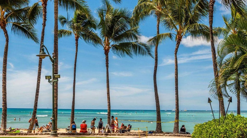 Tall Coconut Palm trees line this section of Waikiki Beach in Honolulu on the Island of Oahu, Hawaii.