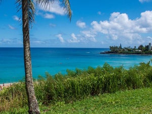 Things to Do in North Shore Oahu: 10 Fun and Affordable Activities