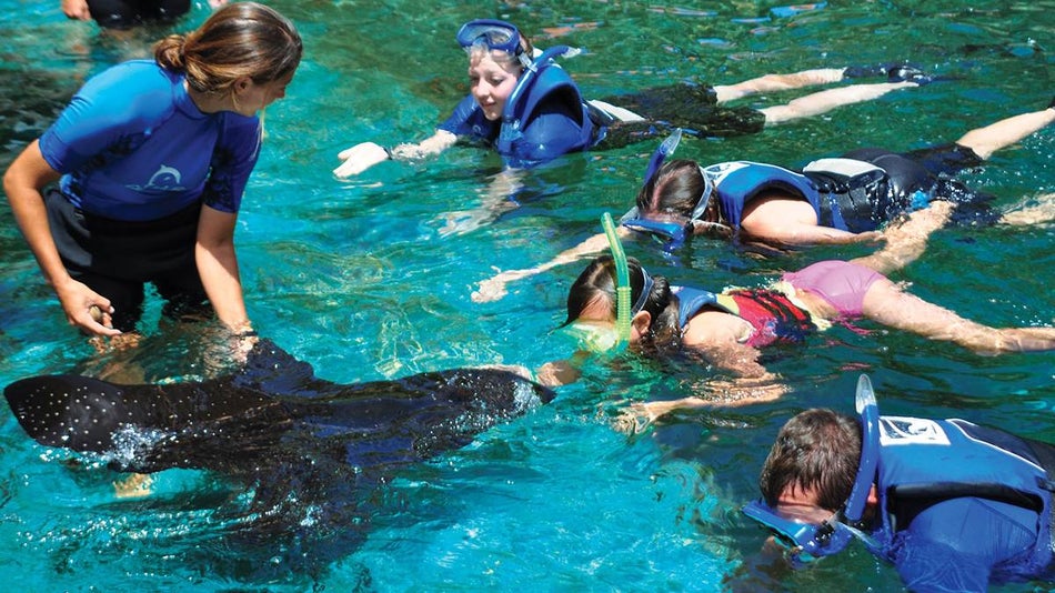 Four children snorkeling with an instructor who is petting a Manta Ray in the water in Oahu, Hawaii