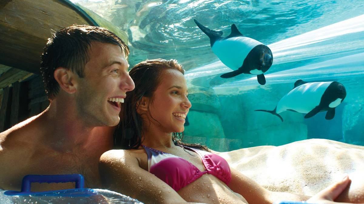 couple on loggerhead lane with dolphins around them at Aquatica in Orlando, Florida, USA