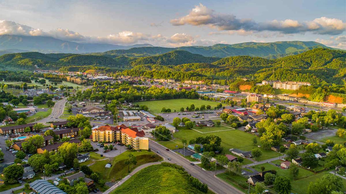 Complete Guide to Pigeon Tennessee