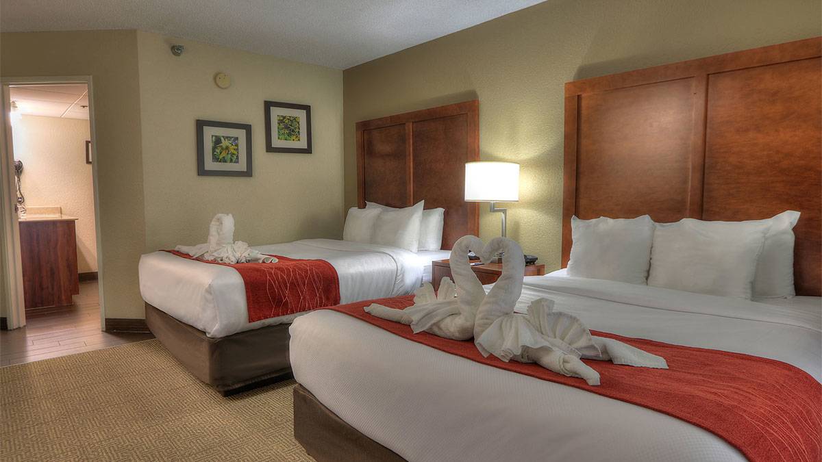 Guest Room at Comfort Inn & Suites at Dollywood Lane - Pigeon Forge, Tennessee, USA