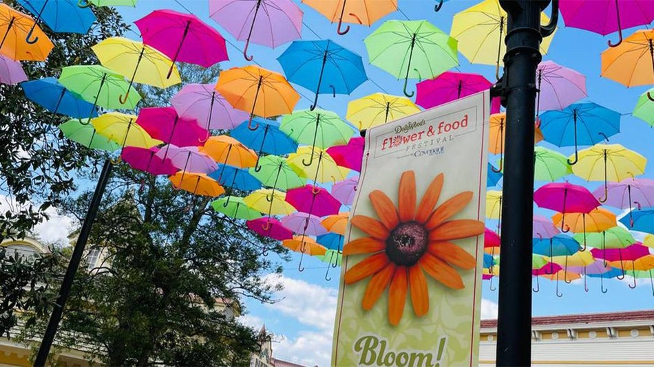 View of the colorful umbrella sky and a sign on a light pole for the Flower and Food festival at Dollywood in Pigeon Forge, Tennessee, USA