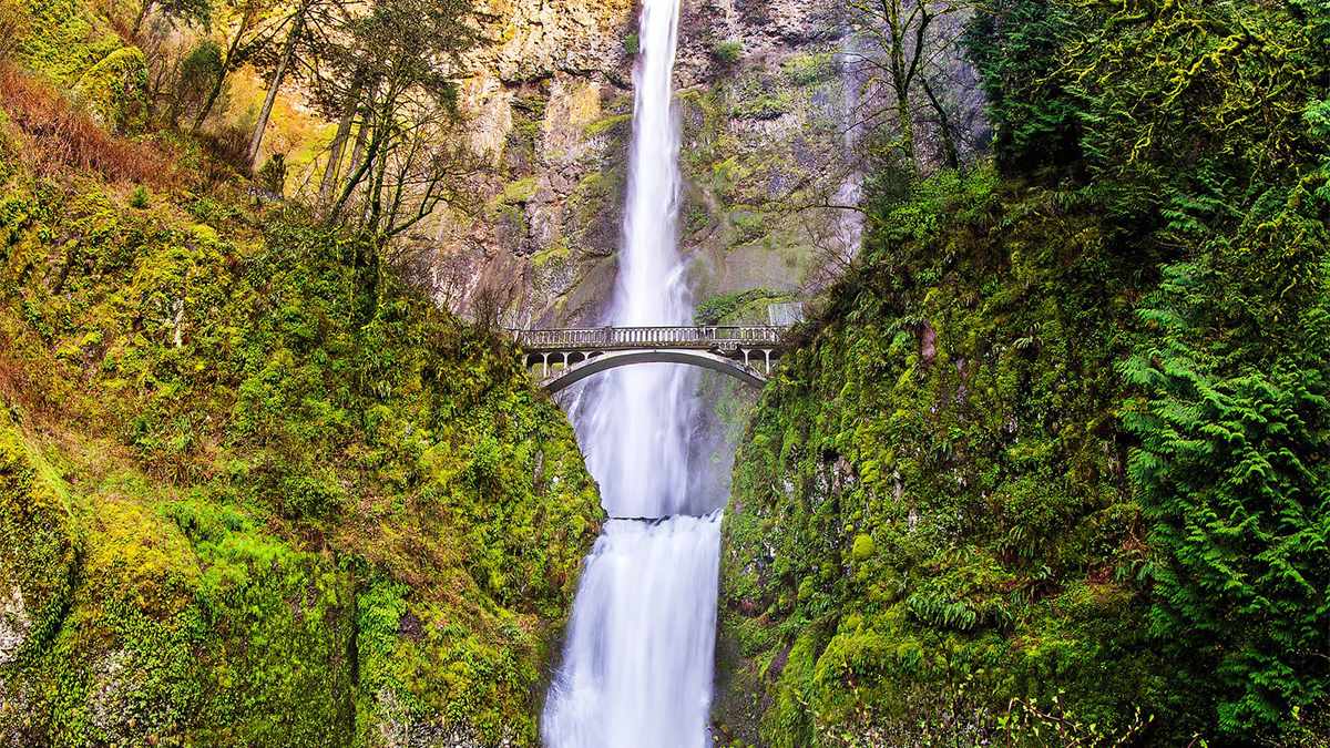 Wide shot of Multnomah Falls and the bridge that goes over it with lush greenery on either side in Portland, Oregon, USA