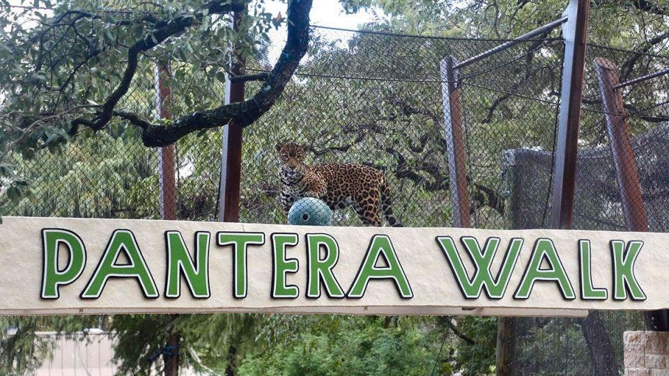 San Antonio Zoo Coupons 🐼 7 Ways to Save Up to 46 Off