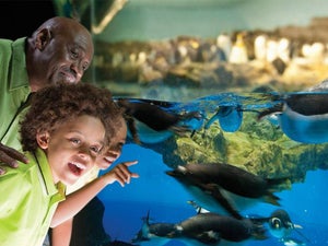 19 Things to Do with Kids in San Antonio That Won't Disappoint