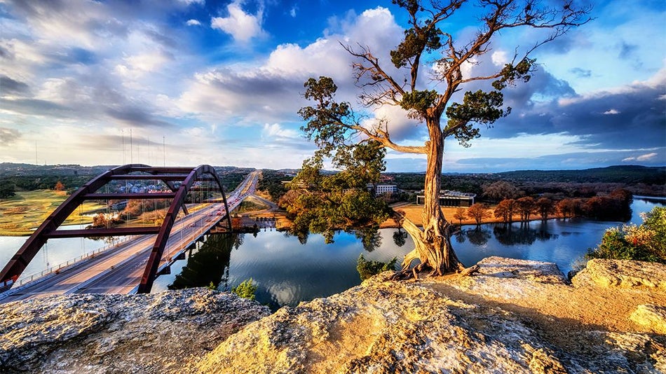 Wide shot of a landscape with a bridge on the left side and a bare tree in the middle with trees and water in the background and a blue cloudy sky in San Antonio, Texas