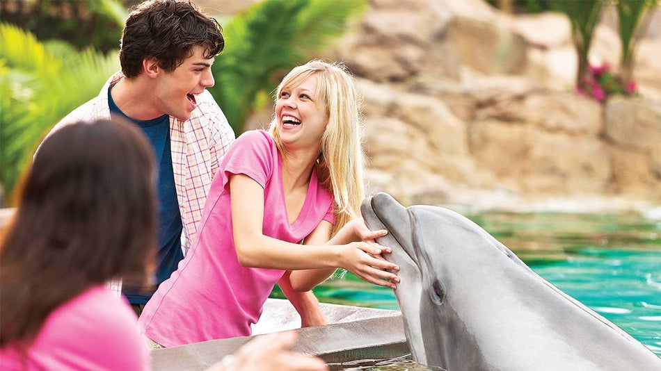 Family get close with a Dolphin at SeaWorld