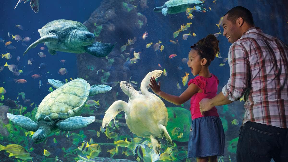 SeaWorld San Diego Events 2023 Complete Guide