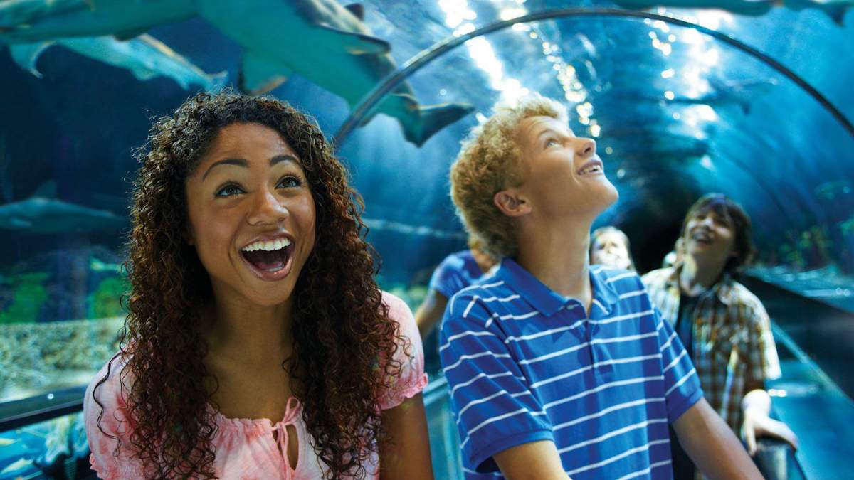 teenagers standing in shark encounter tunnel at SeaWorld San Diego