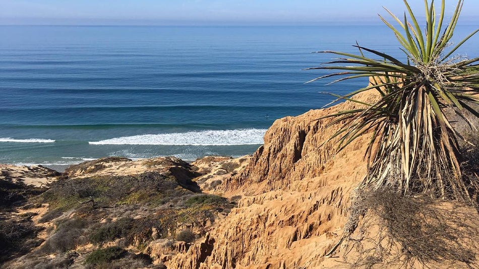 view of beach from Torrey Pines State Reserve in San Diego, California, USA