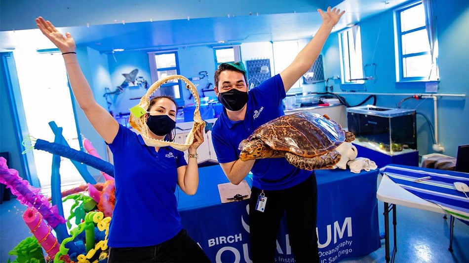 14 Best Aquariums in the U.S. Everyone Should See