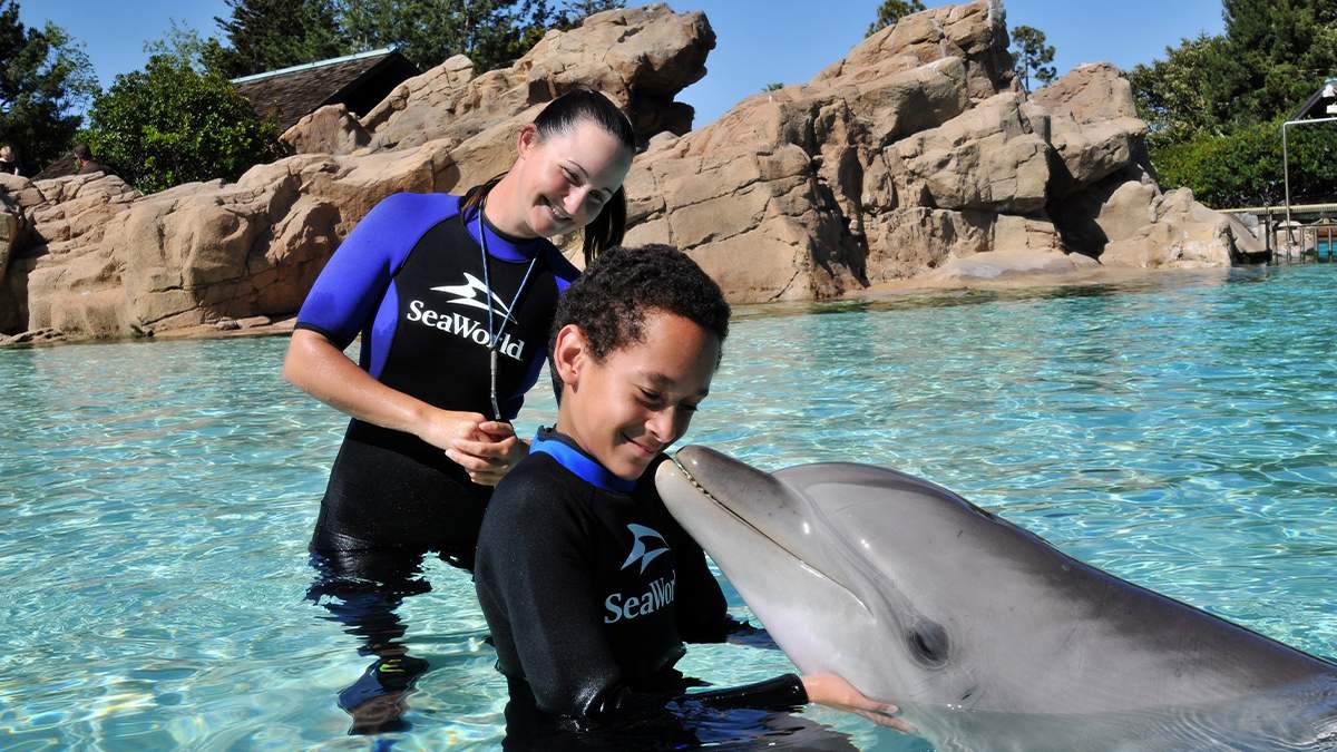 Boy holding a dolphin at the Dolphin Encounter at SeaWorld San Diego - San Diego, California, USA
