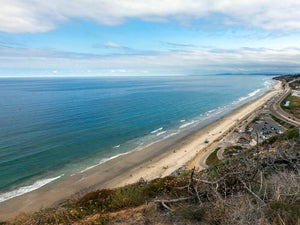 All You Need to Know About Torrey Pines Hiking Trails