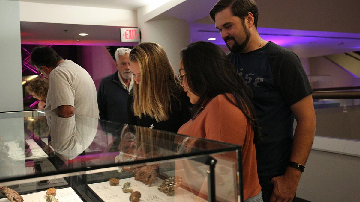 couple looking at display at the San Diego Natural History Museum in San Diego, California, USA