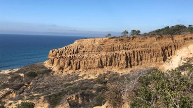 are dogs allowed at torrey pines hike