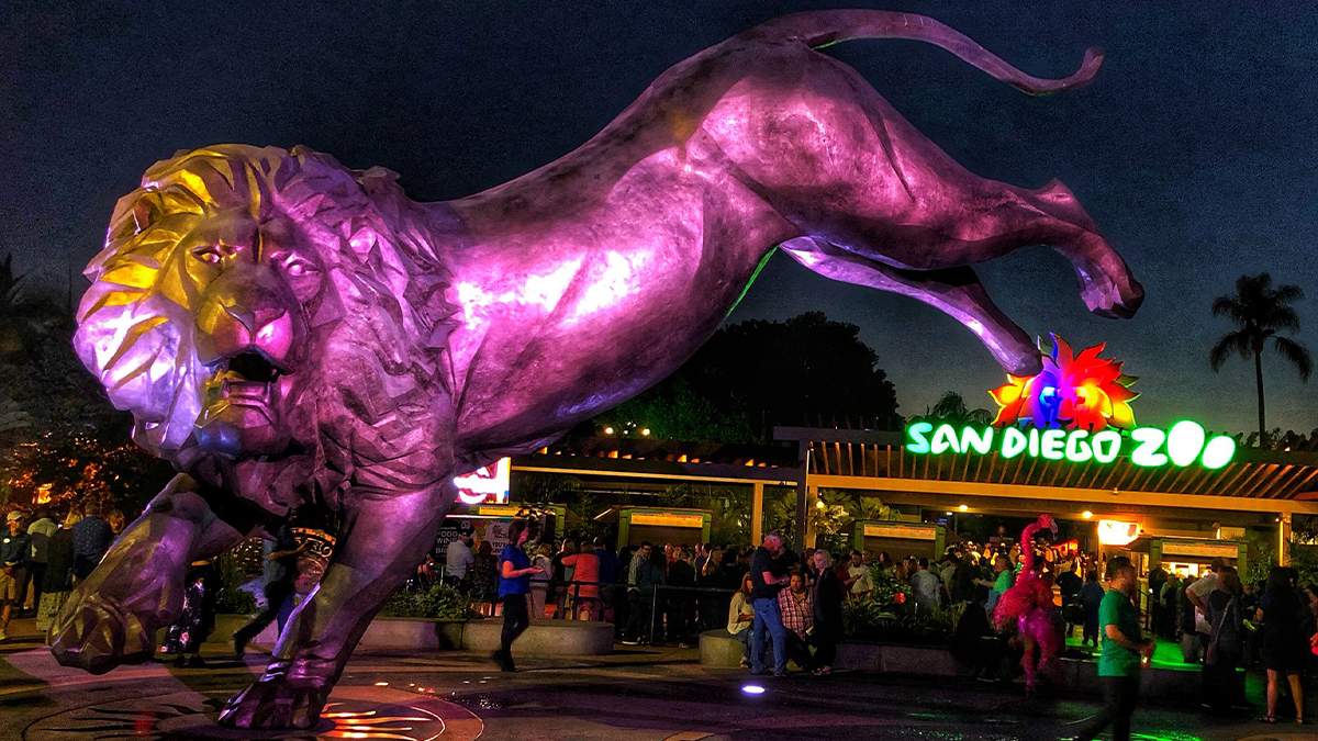 Close up view of the Lion Statue in front of the entrance to the San Diego Zoo at night in San Diego, California, USA