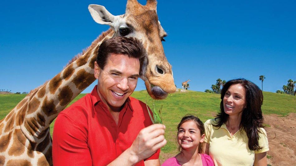 family of three holding food for giraffe standing outside and smiling at San Diego Zoo Safari Park in San Diego, California, USA