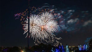 4th of July San Diego Zoo: In-Depth Celebration Guide