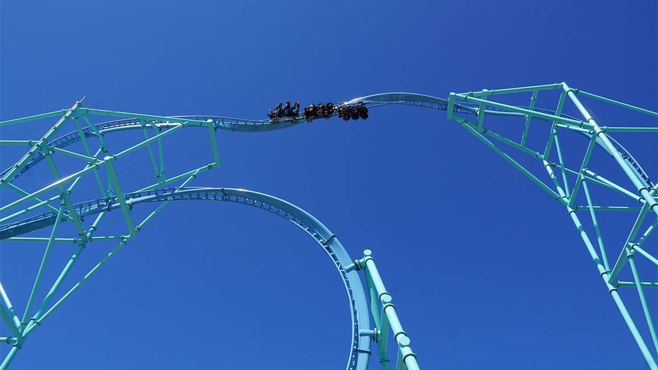 San Diego Zoo vs SeaWorld: Comparison, Discounts, and Hotels