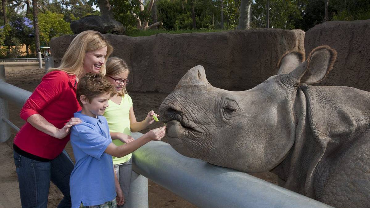 Family standing with rhino at San Diego zoo in California