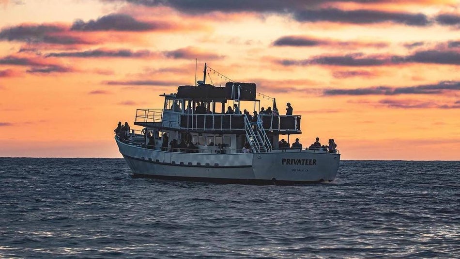 white whale watch touring boat full of people sailing at sunset with orange sky in background