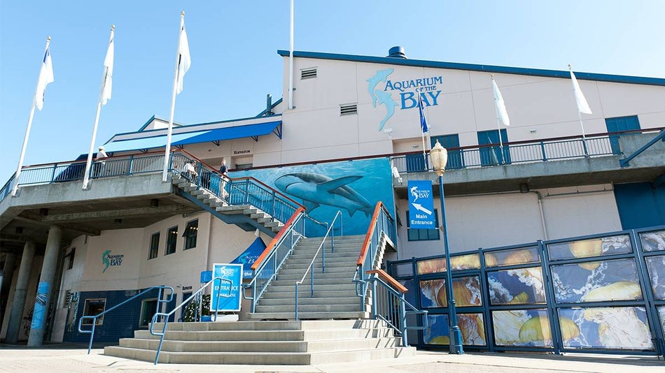 Entrance to the Aquarium of the Bay - San Francisco, California, USA