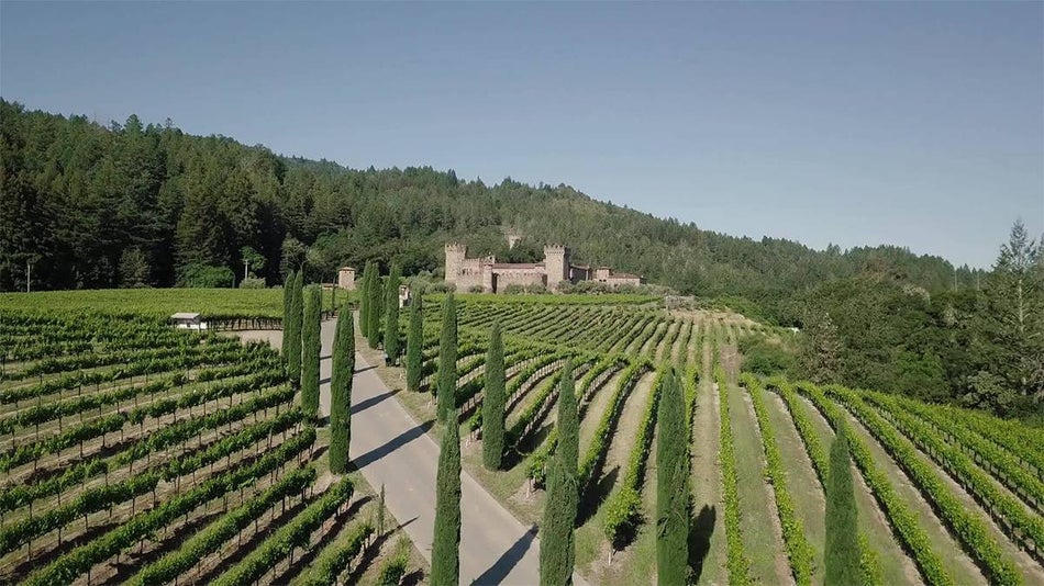 Wide shot of Castello di Amorosa and all the rows of grapes that lead to it in San Francisco, California, USA